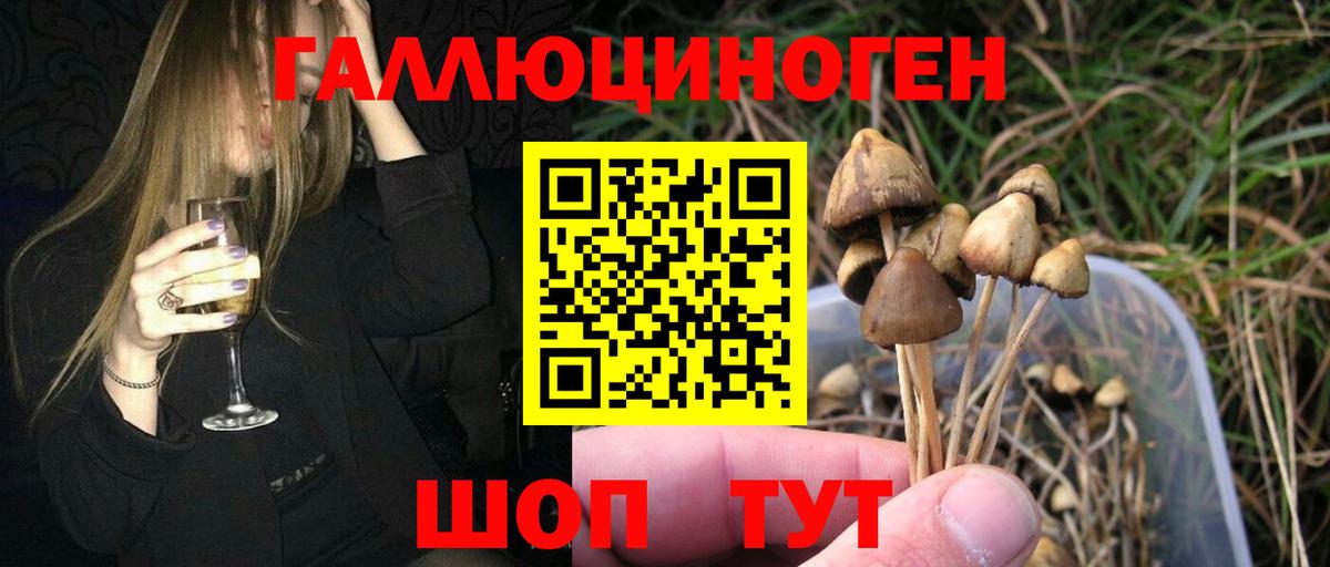 Псилоцибиновые грибы мицелий Сунжа