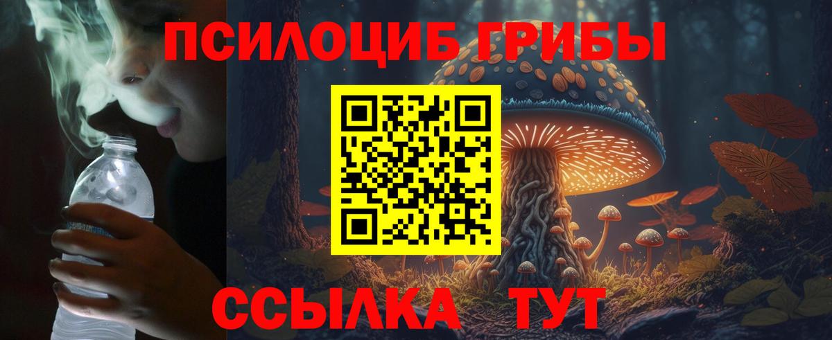 даркнет сайт  Вход с VPN  Сунжа  Псилоцибиновые грибы прущие грибы 
