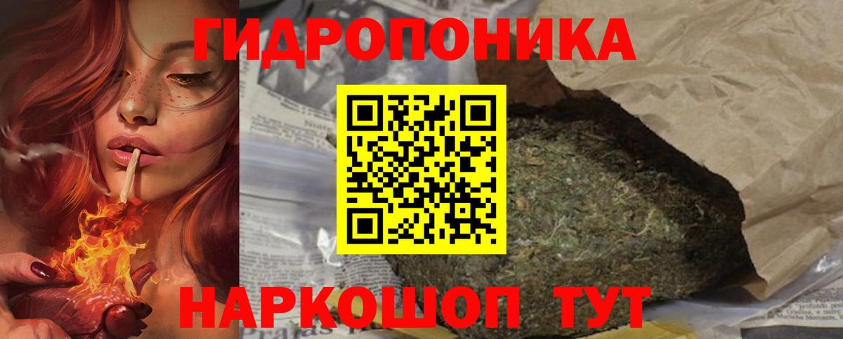 Канабис OG Kush Сунжа